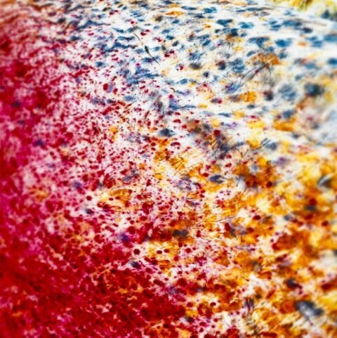 Natura Opus Yoga Retreat