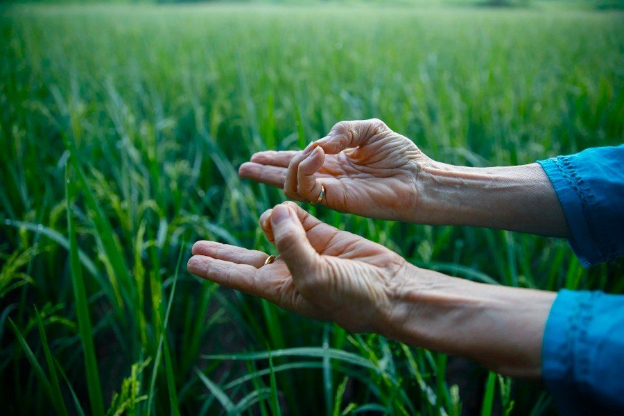 Prana Anatomy Part 2