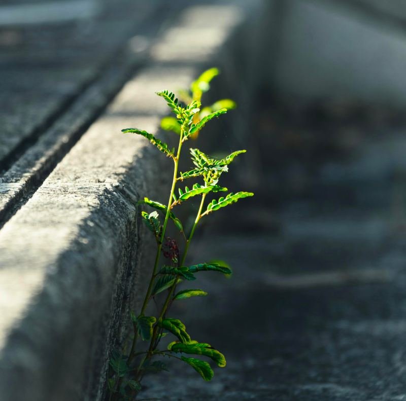 Meditare - Σεμινάριο για την διαλογιστική πρακτική