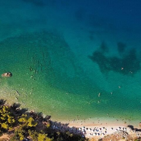 Earth & Breath Yoga Retreat